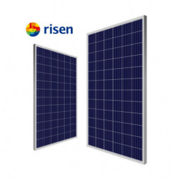 Risen RISEN 445W  bmgd